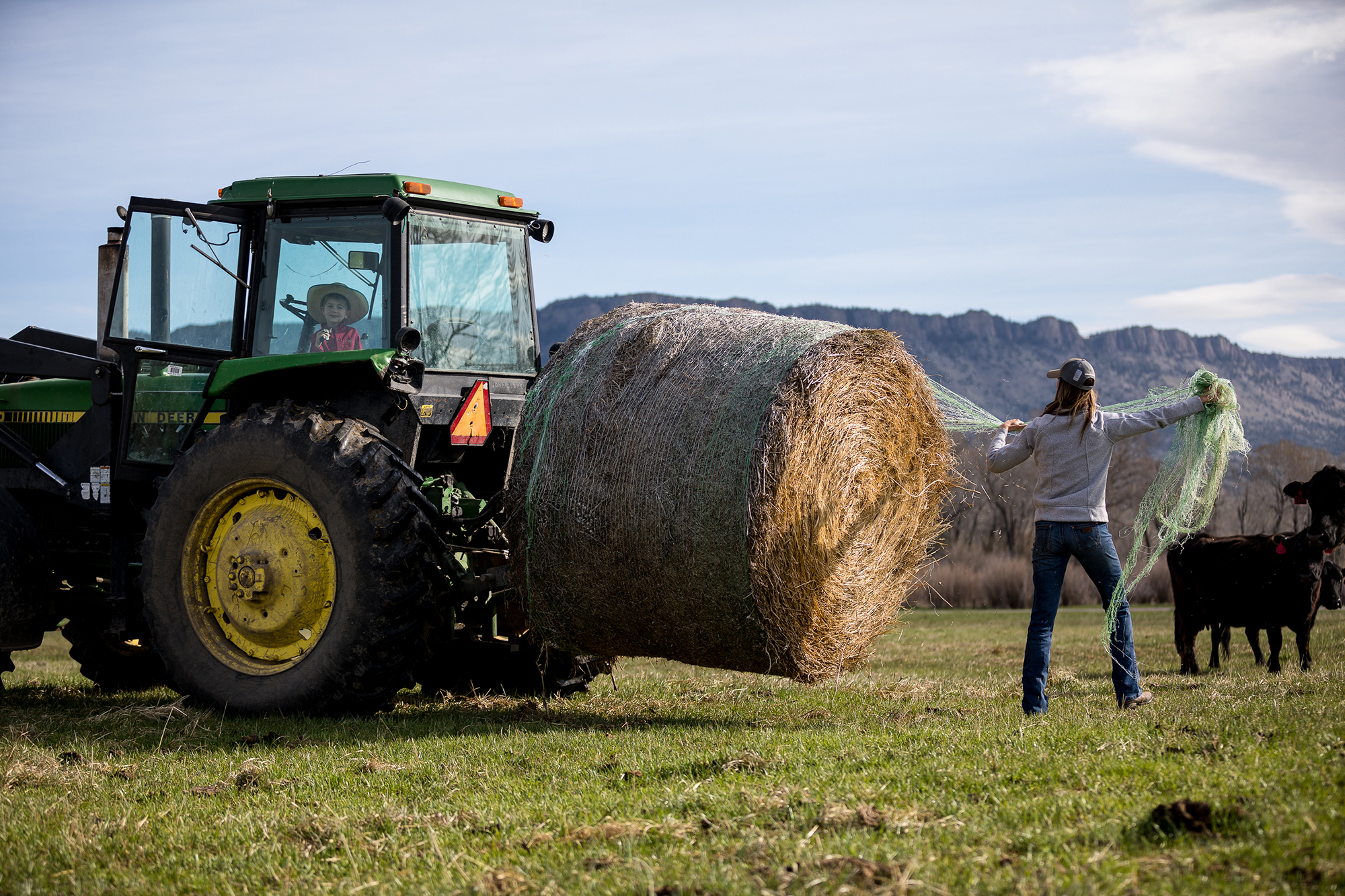 Jaimie wakes the kids and begins the morning ritual of feeding their cattle.