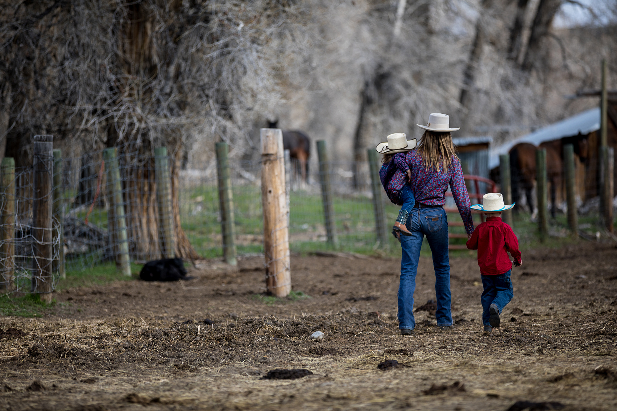 Jaimie and the kids pay a visit to the calving barn to check on the status of newborns.