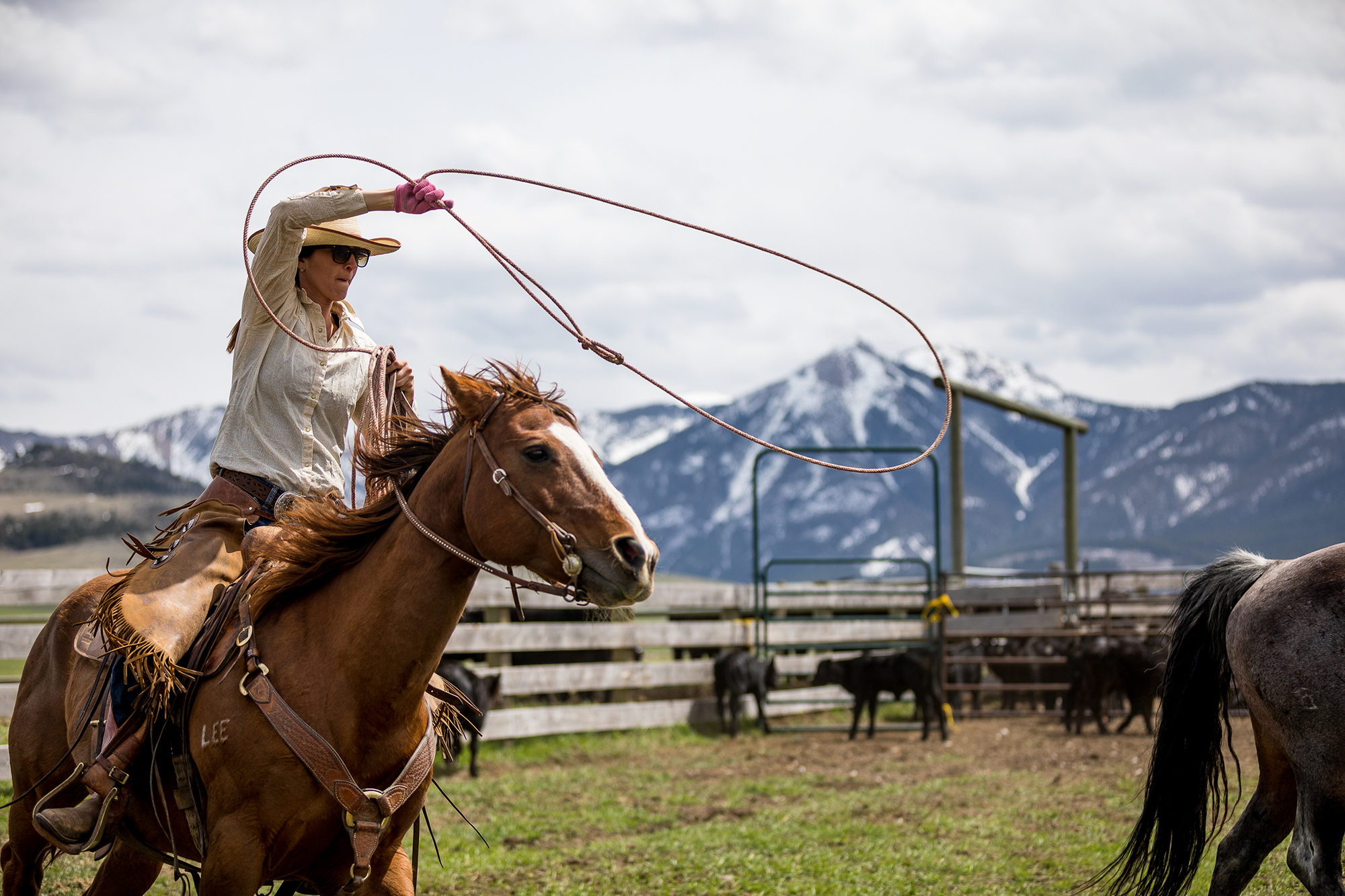 The work begins at the base of the Absaroka Mountains.