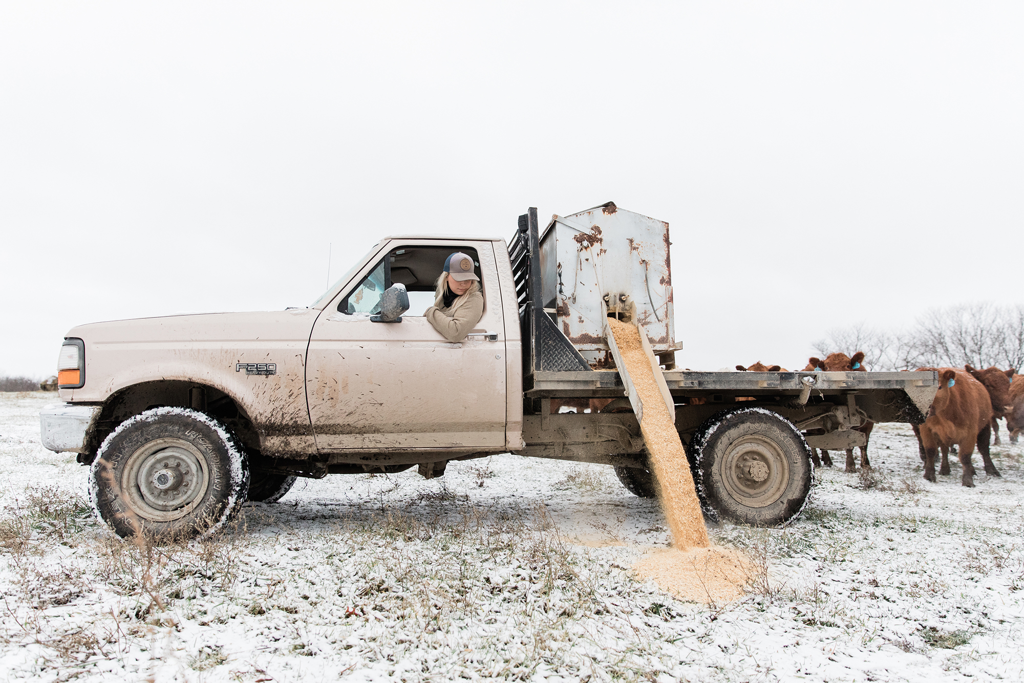 Farm chores never stop for Templeton who wouldn't have it any other way.