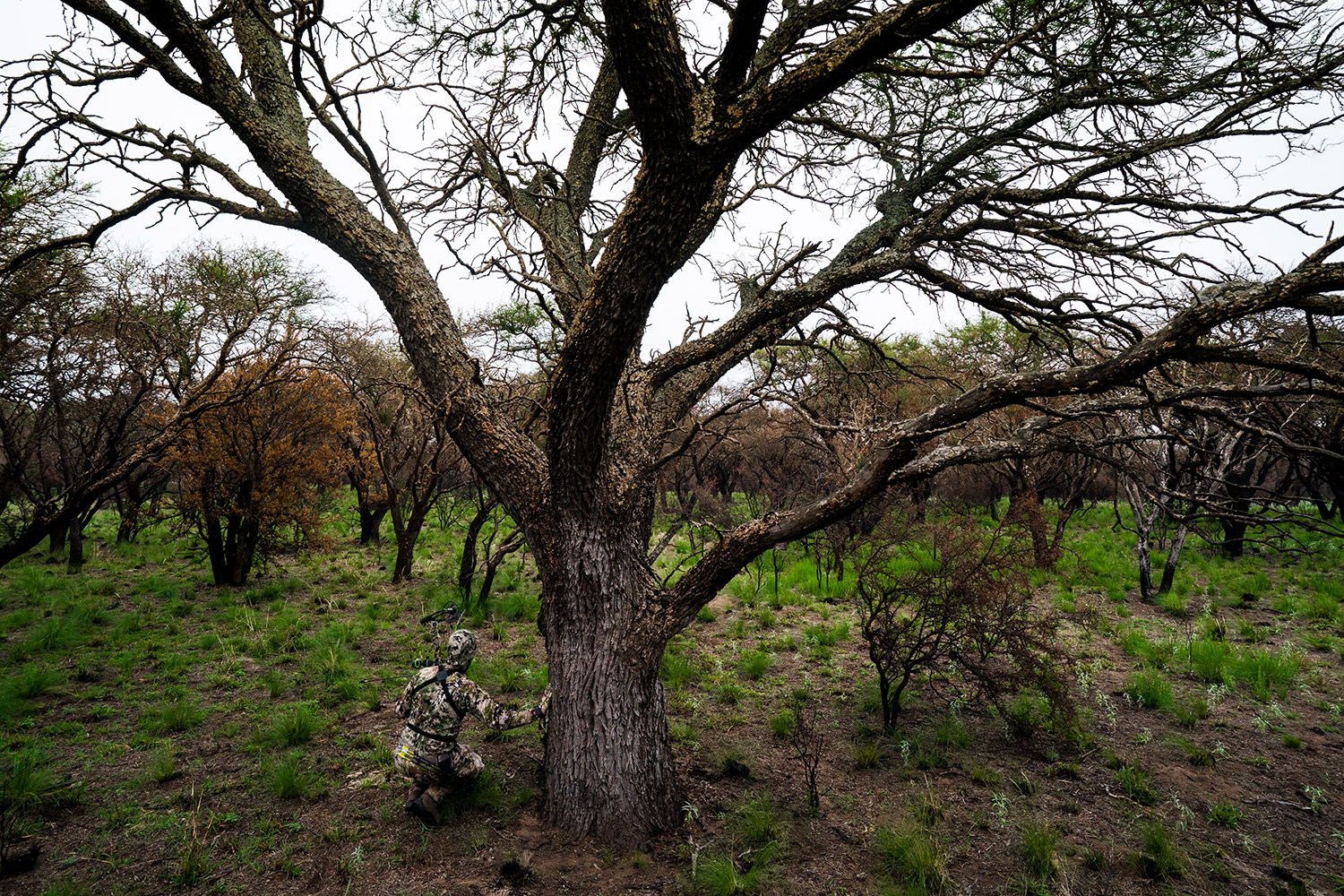 Getting familiar with bow hunting the Argentine landscape.