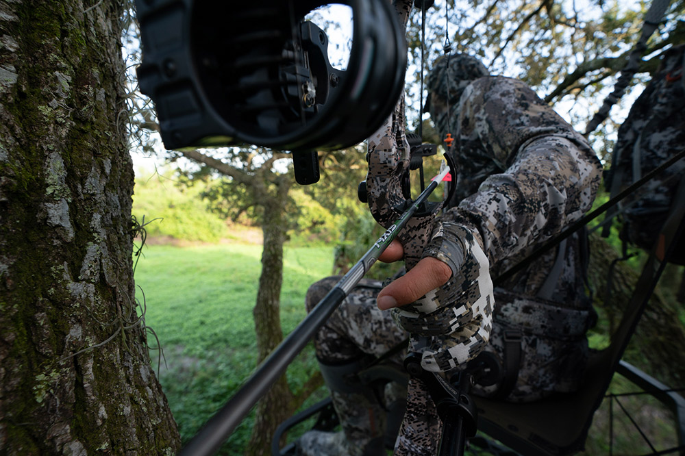 Bow hunter in a tree with a hand on his bow.