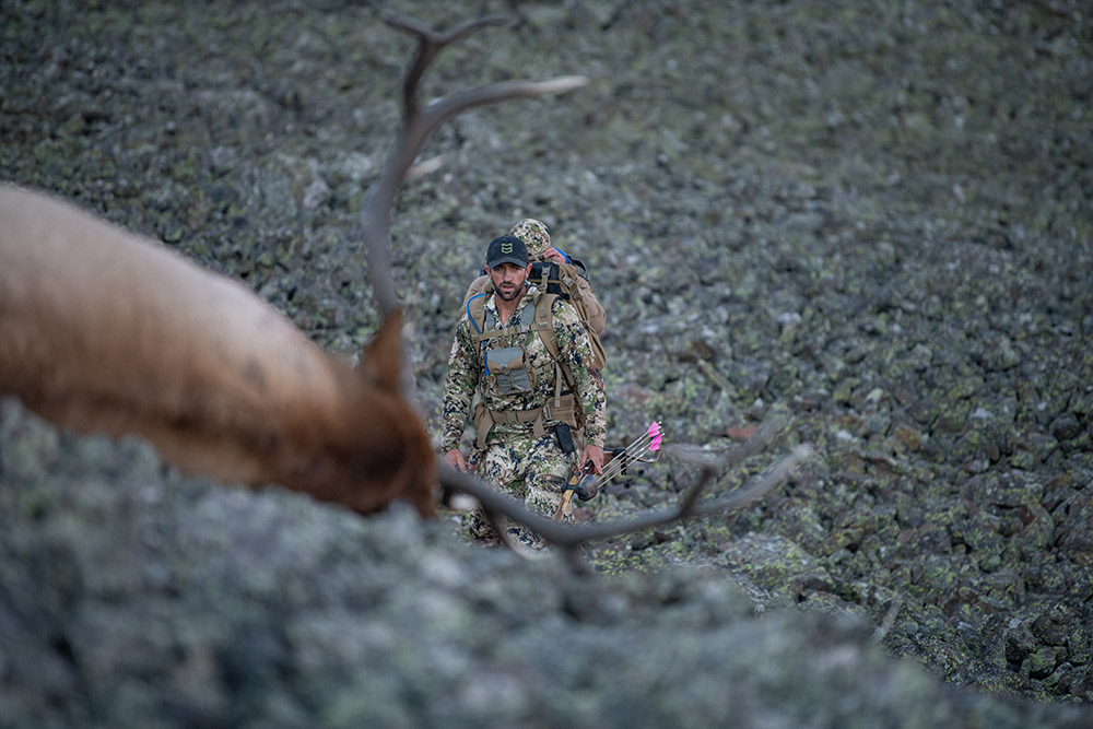 Hunter in Subalpine looks at his archery bull elk in disbelief.