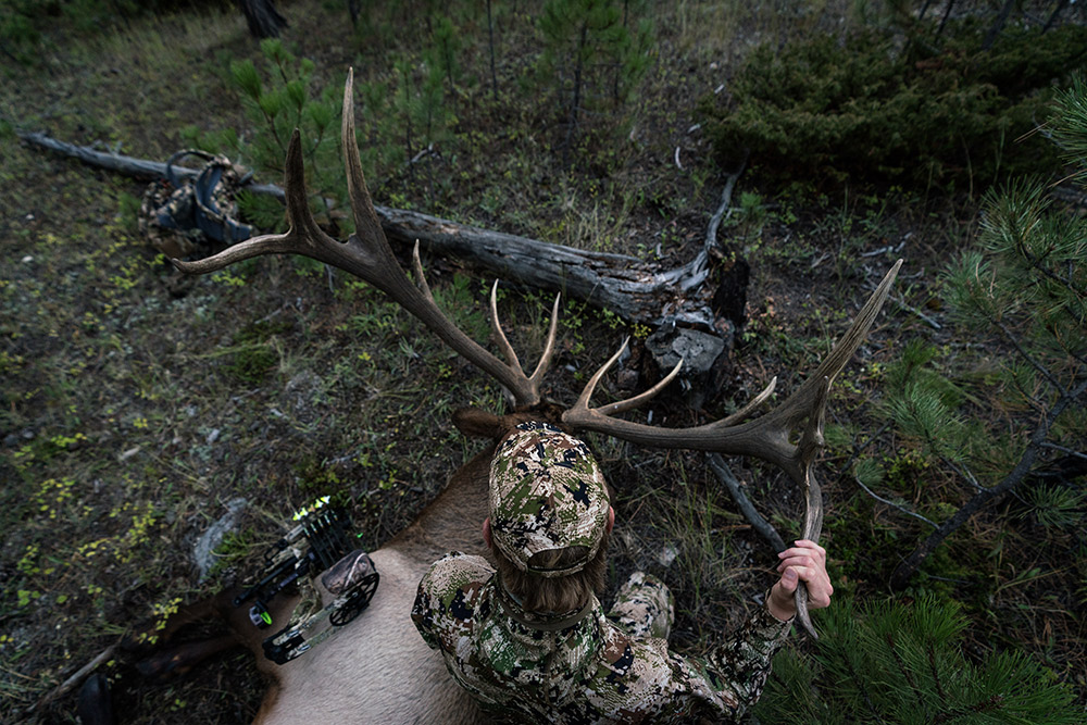 Steven Drake with his bull elk harvested with a compound bow.