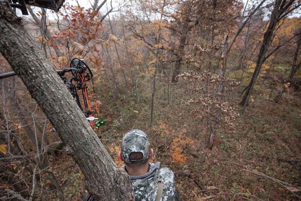 Bowhunter waiting for a buck to walk by.