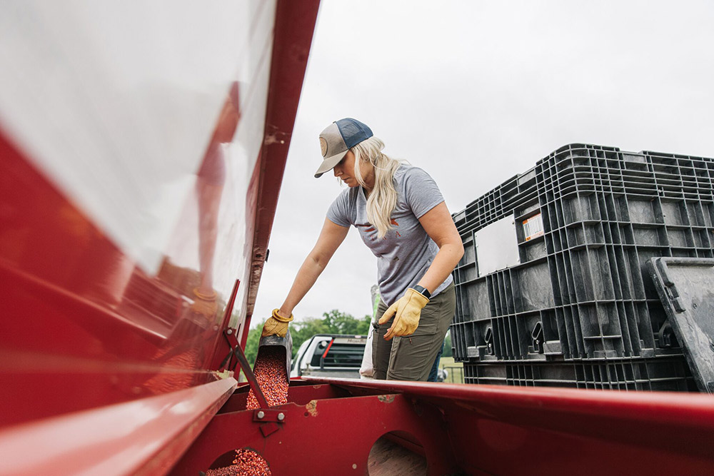 The works never stops for Alex Templeton.