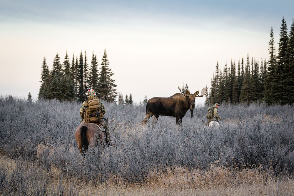 Hunters on horseback encounter a moose.