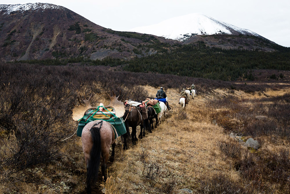 A long pack out via a trail of horses.