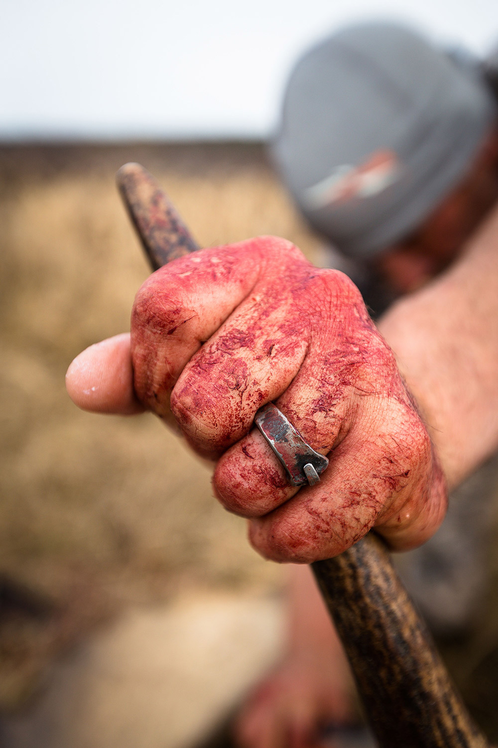 A long hunt results in a fulfilling harvest.