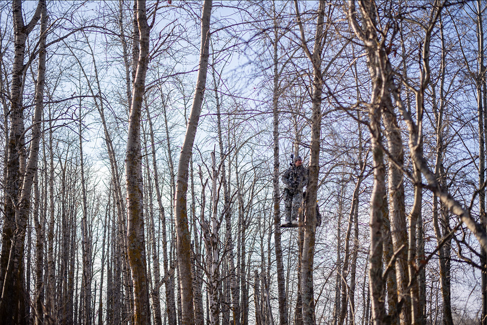 Bow hunter looking for any sign of deer on a late season whitetail hunt.