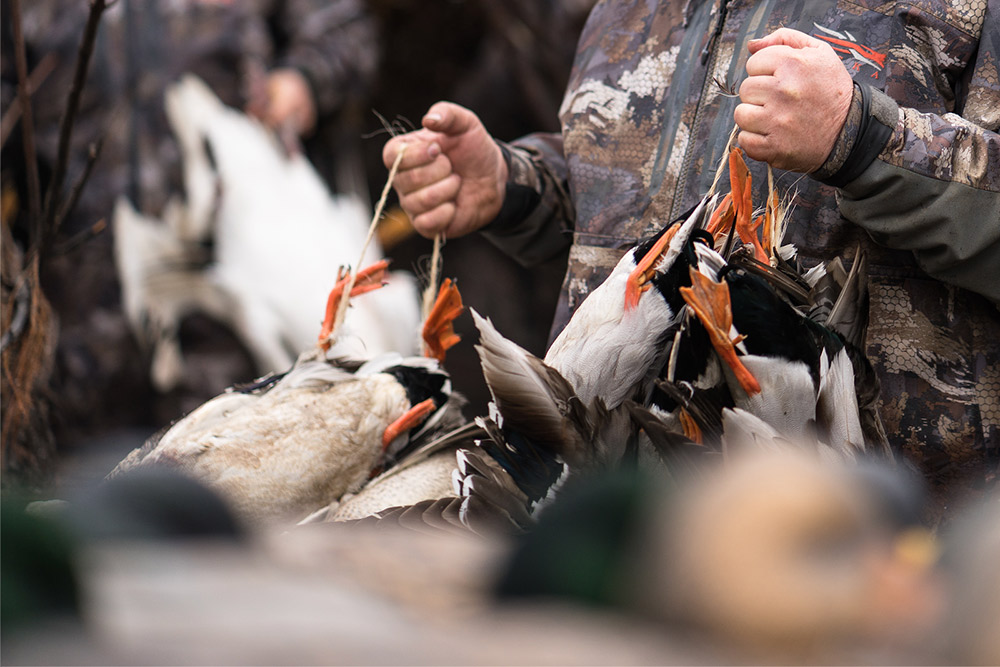 A duck hunter holds heavy straps of mallards.