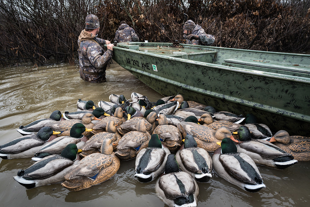 Duck hunters in their spot with plenty of decoys in tote.