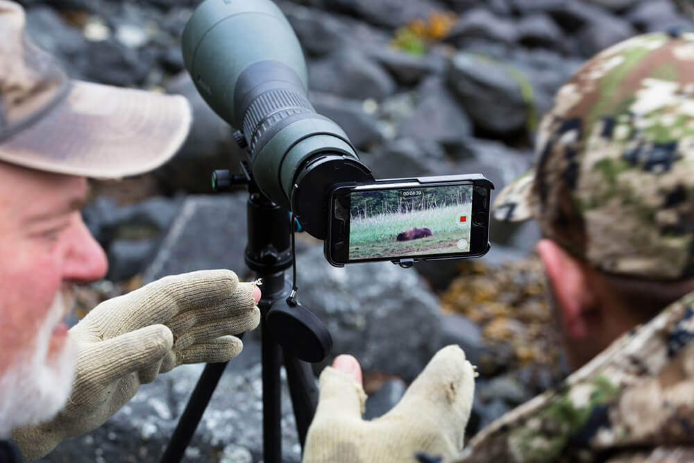 Bear spotted Recording a bear on an iPhone.