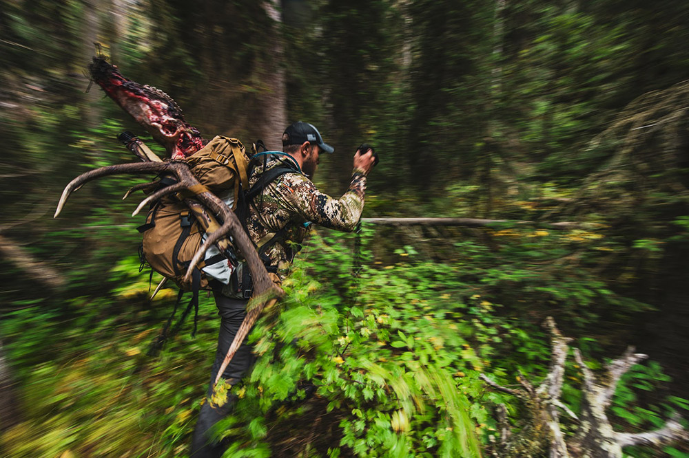 Elk pack out Packing out after a successful hunt