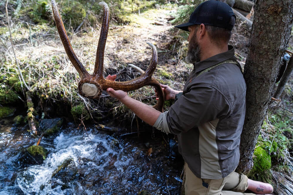 Finding an elk shed Craig Krzycki finds an elk shed on National Forest land