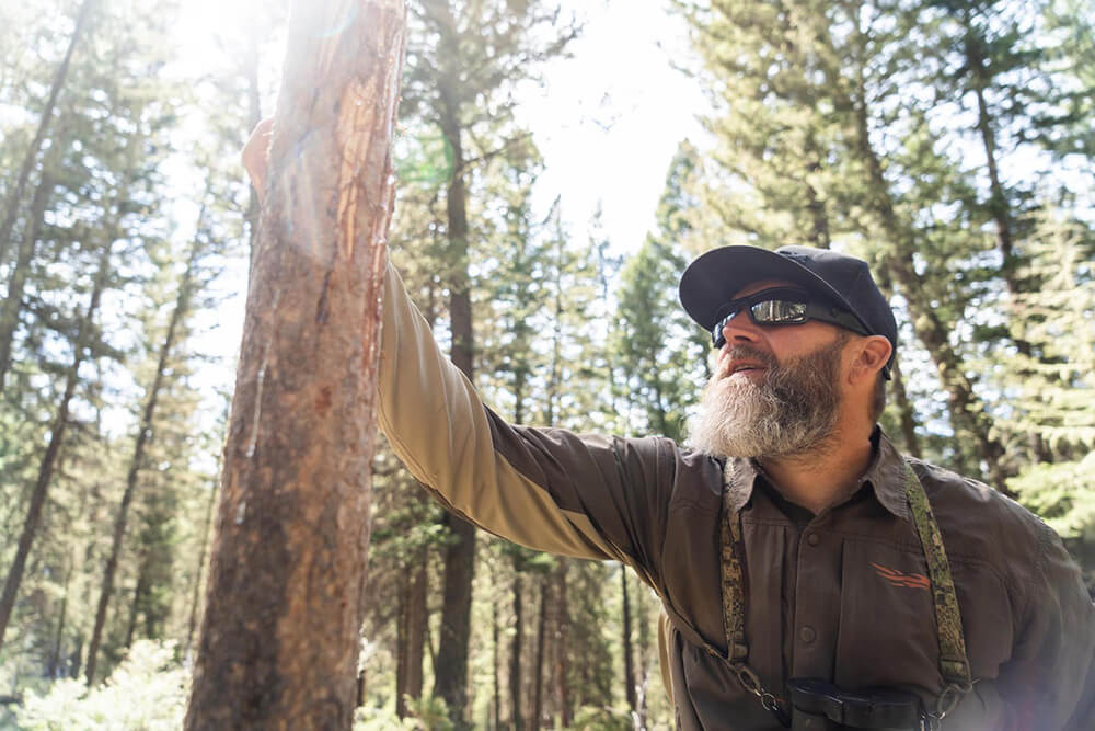 Craig Krzycki looking for signs Looking for signs of elk in the wild