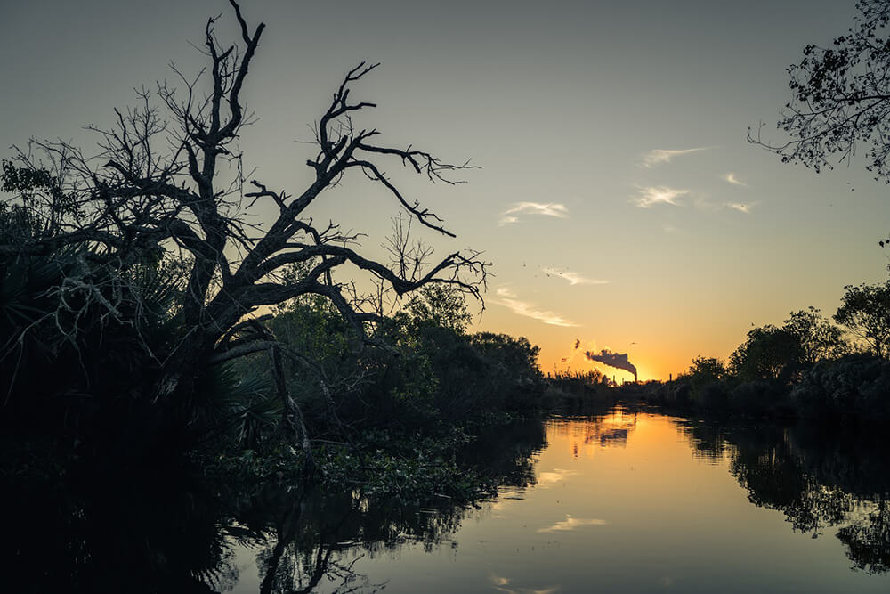 Mississippi River Delta Project